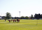 Vista general del entrenamiento de la primera plantilla en el campo 4 de la Ciudad Deportiva de Majadahonda